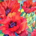 Poppies and seed Heads. watercolour