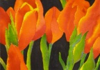 Red Tulips  -  Watercolour
