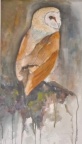 The Barn Owl - Watercolour
