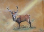 The Stag.  Pastel