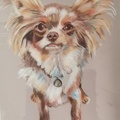Eliza - Coloured Pencil