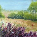 Wildflower Meadow  -  Acrylic