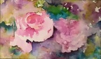 Pink Roses - Watercolour