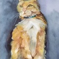 Cat  - Watercolour