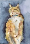Cat  - Watercolour