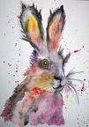 Hare Today - Watercolour  