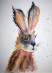 Bev's Hare  - Watercolour