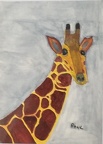 Giraffe  -  Watercolour