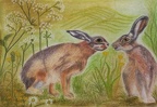 Spring Hares -  Pastel