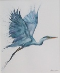 Heron - Watercolour