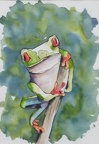 Green Frog - Watercolour