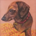 Tilly --  Coloured Pencil