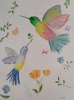 Humming Birds -Watercolour