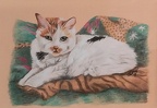 Kitten - Pastel