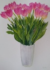 Tulips - Watercolour