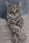 Tigger Fiesty Cat - \polychromer Pencil
