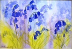 Bluebells - Watercolour