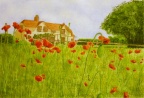 Cottage and Poppies - Watercolour