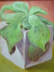 Succulent (1)