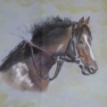 Horse. Pastel