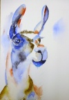 Llama  -  Watercolour