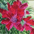Ruby Clematis - Acrylic