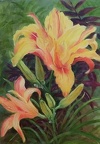 Double Day Lily - Acrylic