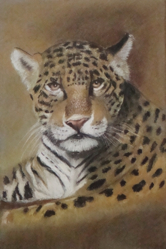 jaguar.JPG